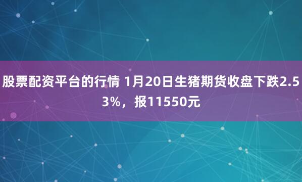 股票配资平台的行情 1月20日生猪期货收盘下跌2.53%，报11550元