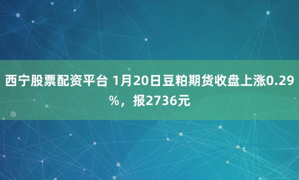 西宁股票配资平台 1月20日豆粕期货收盘上涨0.29%，报2736元